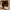 dr martens isham brown seasoning photo 1