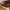 dr martens isham brown seasoning photo 6