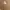 dr martens isham brown seasoning photo 4