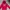 Hoodie dickies 1992 bordir towel red ferrari photo 1