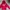 Hoodie Dickies 1992 Bordir Towel Red Ferrari