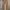 chinos gu sz 36 beige photo 1