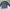 Crewneck dickies sablon grey yellow photo 2