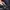 Hoodie oversize spyder black photo 5