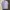 Penny worth japan chambray shirt photo 1