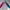Hoodie pancoat 3 colours pop duck grey blue pink photo 1