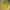 Hoodie Zipper pancoat pop dragon yellow photo 2