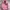 Zipper Hoodie sherva sherpa dalam pink bordir photo 1