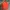 TRACKTOP NEDERLAND photo 1
