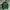 TRACKTOP BRAZIL