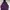 Hoodie dickies Texas purple sablon photo 2