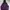 Hoodie Dickies Texas Purple Sablon