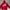 Hoodie supreme red ferrari big logo  photo 2