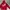 Hoodie Supreme Red Ferrari Big Logo 