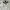 Crewneck Adidas 3 foil white big logo photo 2