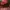 nike air jordan 1 low pinksicle photo 7
