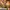 09WOMEN Casual Coquette Sweater Pria orange white photo 1