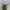 Vintage Minimalist Crop top Wanita white photo 2
