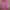 Pink Jeans photo 1