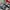 Nike Air Jordan Low. photo 1