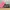 Original Kate Spade Jacquard Wallet photo 2