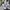 Nike Casual Sweatshirt Pria gray photo 4