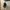 Spectra vertex D25 camcorder  photo 3