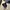 Spectra vertex D25 camcorder  photo 5
