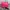 Kate spade tote elise berry photo 1