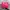 Kate Spade Tote Elise Berry
