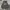 Hoodie Dickies Velvet photo 1