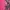 Japanese brand pink graphic women top photo 8