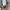 Keds Triple Kick White Canvas photo 5