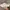 Keds Triple Kick White Canvas photo 8