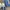 Keds Triple Kick White Canvas photo 1