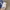 Keds Triple Kick White Canvas photo 3