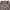 BURBERRY LONDON BLUELABEL Nova Check Straight Pants photo 7