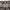 BURBERRY LONDON BLUELABEL Nova Check Straight Pants photo 4
