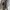 Vans Checkerboard Gum Plimsolls photo 4