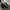 Vans Checkerboard Gum Plimsolls photo 5