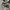 Converse Allstar Hi Black White photo 1