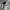 Gucci Luxury Casual Crossbody Bag Wanita white photo 7
