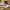 Nike M2K  photo 1