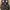 Nike M2K  photo 4