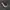 Vans Authentic Anaheim Alva Skate Lepoard Original photo 1