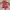 ꕤ River Island Ruffle Cold Shoulder photo 5