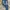 Lee Cooper Straight Fit  photo 1