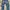 Lee Cooper Straight Fit  photo 2