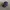 47brand SEATLE SEAHAWK HAT CAP