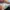 New balance 1906L photo 2